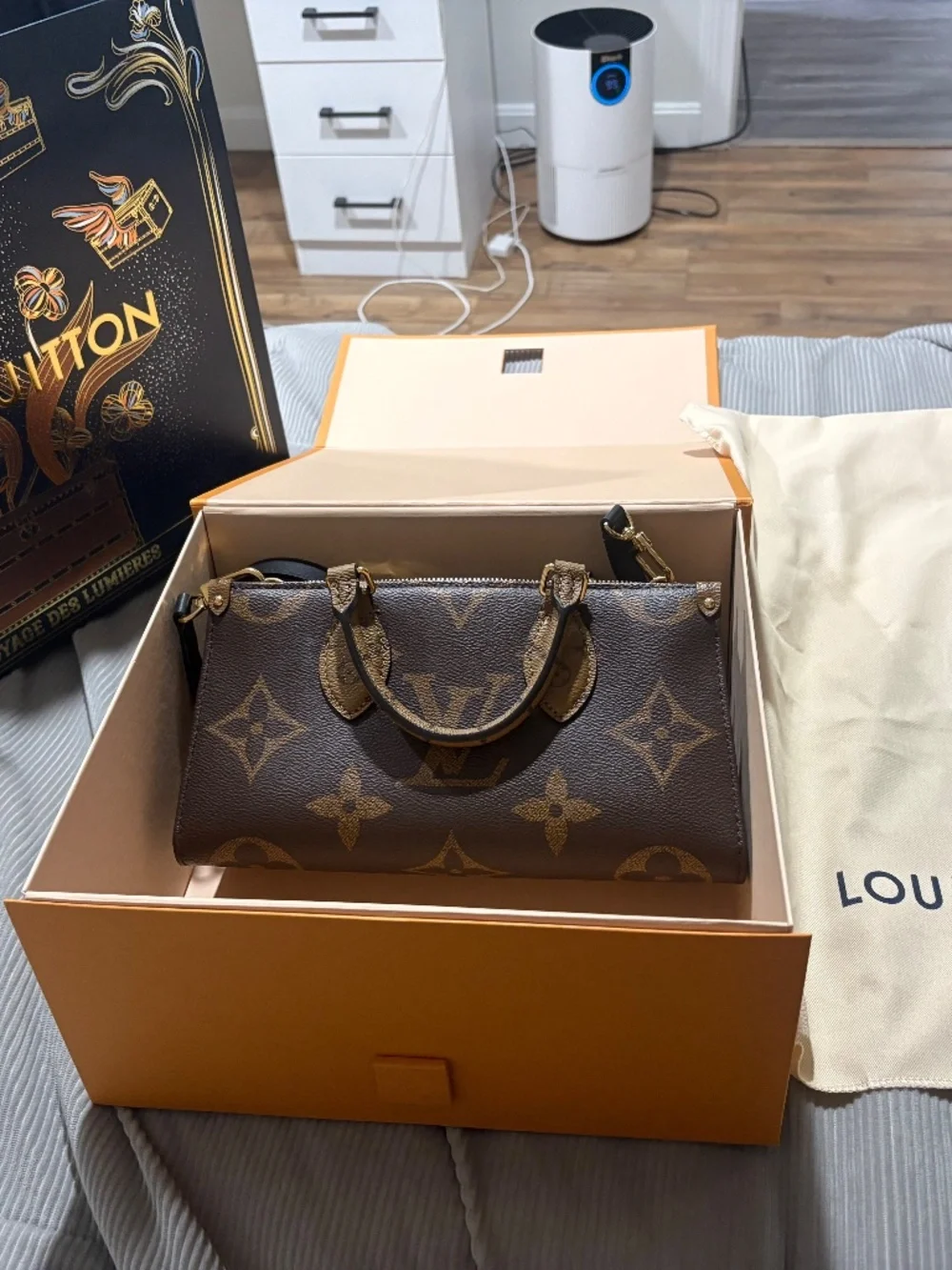 Louis Vuitton beautiful bag